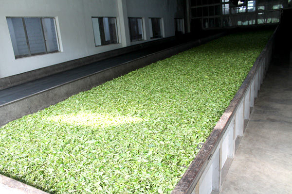 temi-factory_visit
