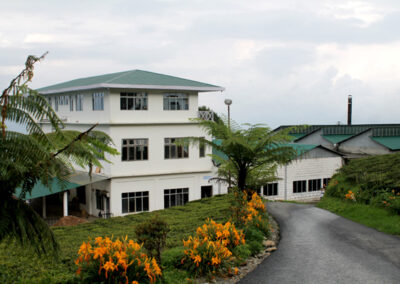 Temi Guest house