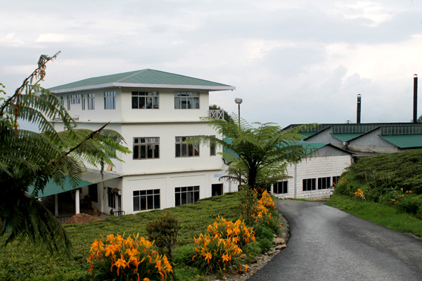 temi-guest-house