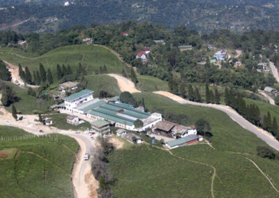 Temi Tea Garden Guest house and factory